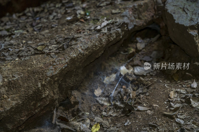 杭州宝石山景区蝙蝠洞