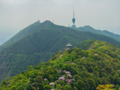 广东深圳梧桐山山顶