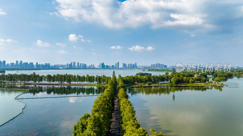 湖北武汉东湖绿道风景