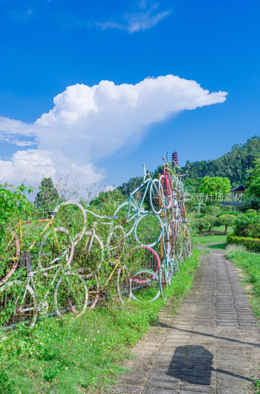 广州南沙蒲洲花园公园废弃自行车墙景观