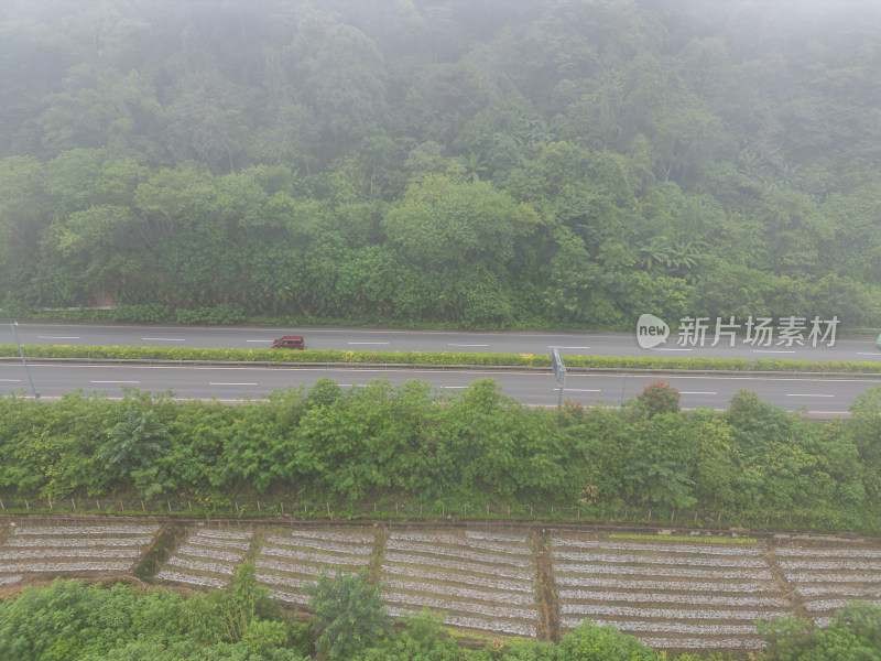 航拍晨雾中的山间公路