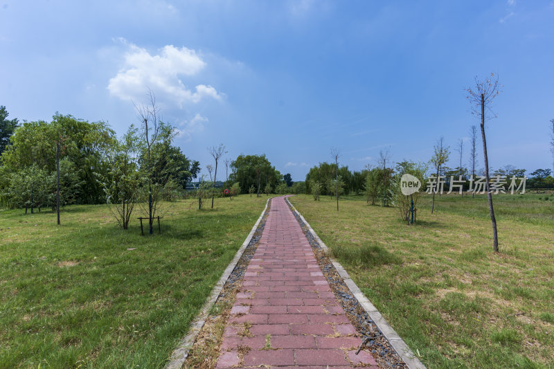 武汉蔡甸汤湖公园生态园林风景