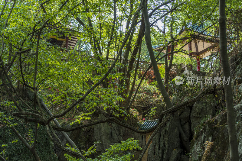 武汉江夏区白云洞景区风景