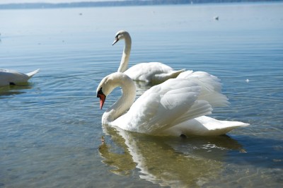 德国慕尼黑周边基姆湖(Chiemsee)