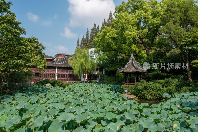 中式风格的古建筑园林上海青浦曲水园景色