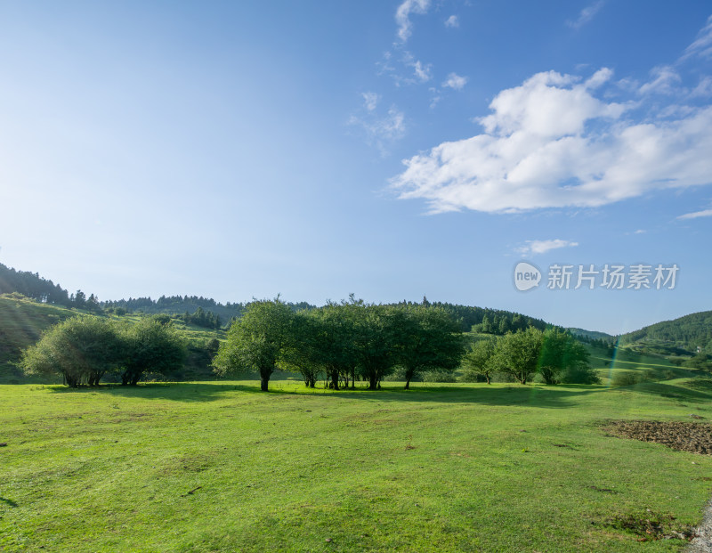 重庆市武隆区仙女山国家森林公园