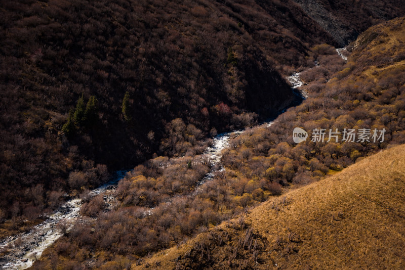 峡谷秋色