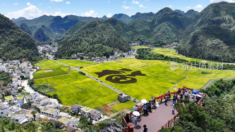 贵州兴义万峰林稻田画乡村振兴风光航拍