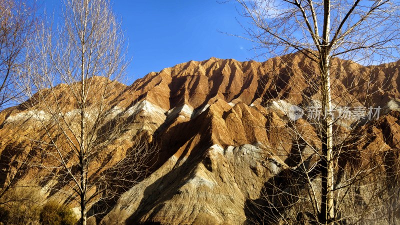 裸山与枯树相映衬的自然风光