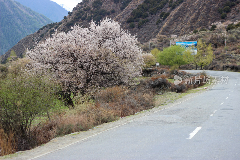 西藏林芝地区G318川藏公路沿途高原风光