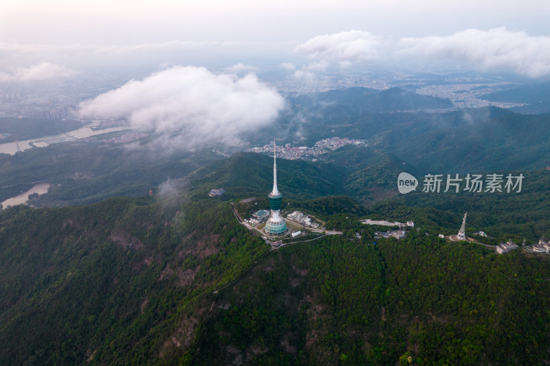 深圳梧桐山