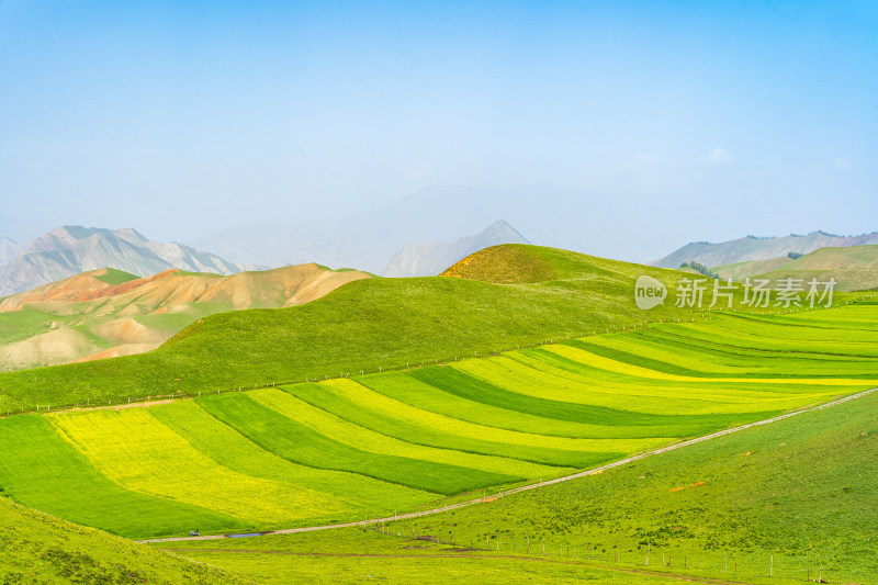 青海祁连县卓尔山景区，夏季起伏的高山牧场