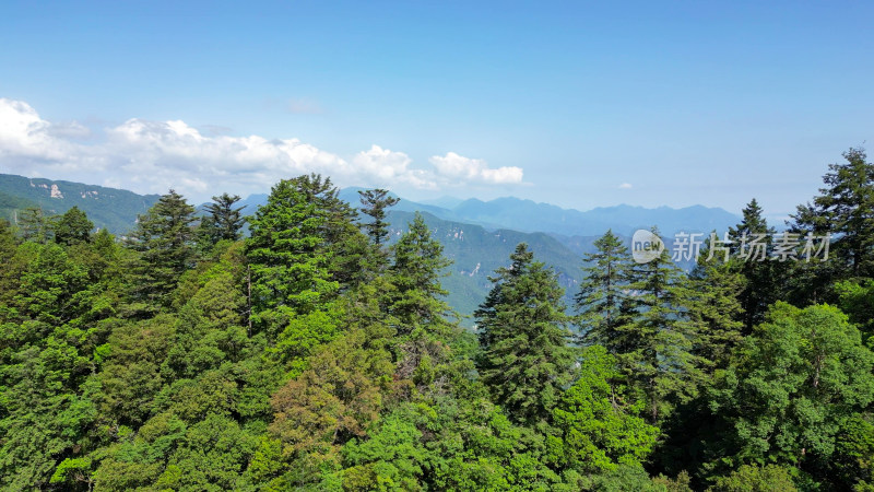 航拍湖北神农架天燕景区