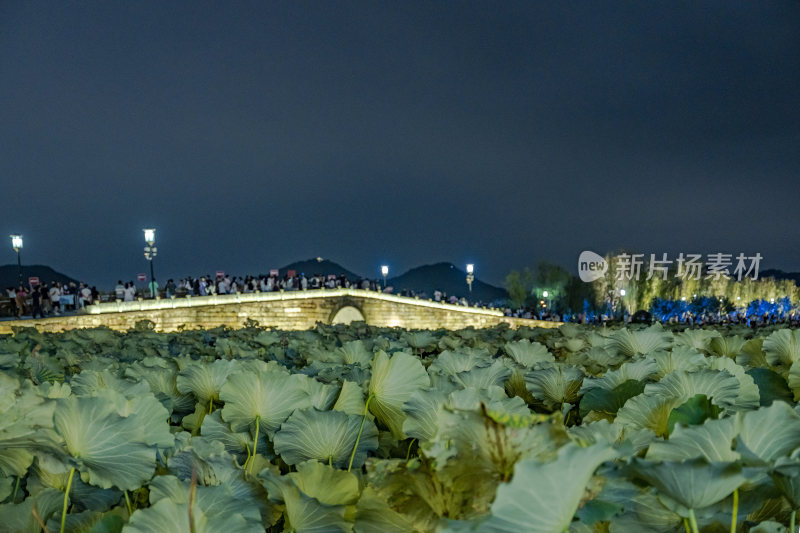 杭州西湖断桥景点夜景