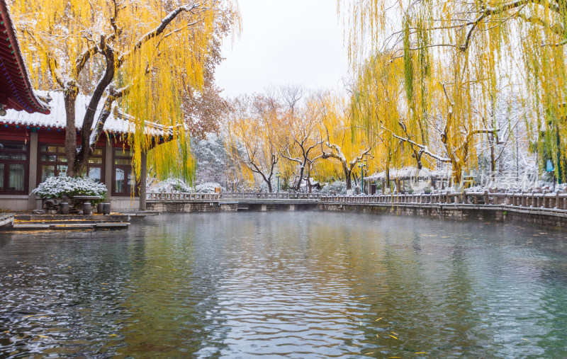 山东济南大明湖趵突泉泉水冬天雾气雪景