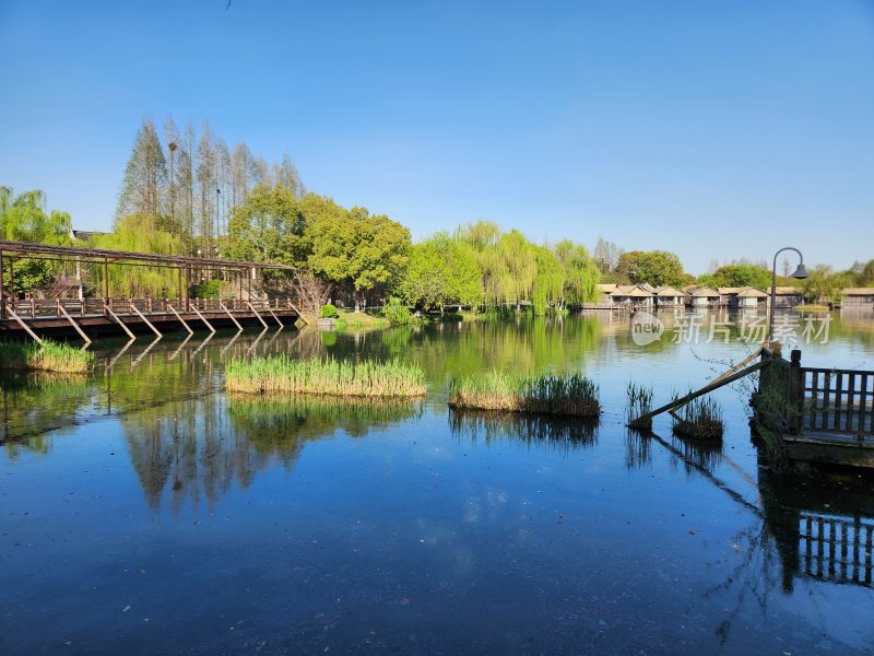 湖边木桥绿植风景