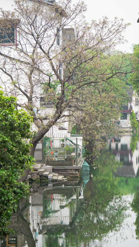 绍兴仓桥直街江南水乡风景