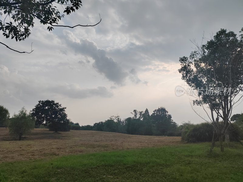 开阔草地自然风光远景拍摄