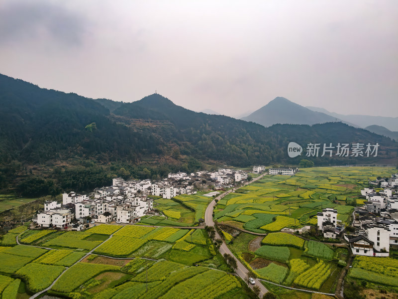 安徽江岭油菜花山谷梯田白墙徽派建筑群航拍