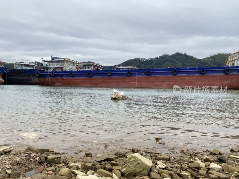 水面海鸟和一艘大船