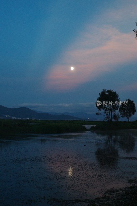 月光下的水域与树木的宁静夜景