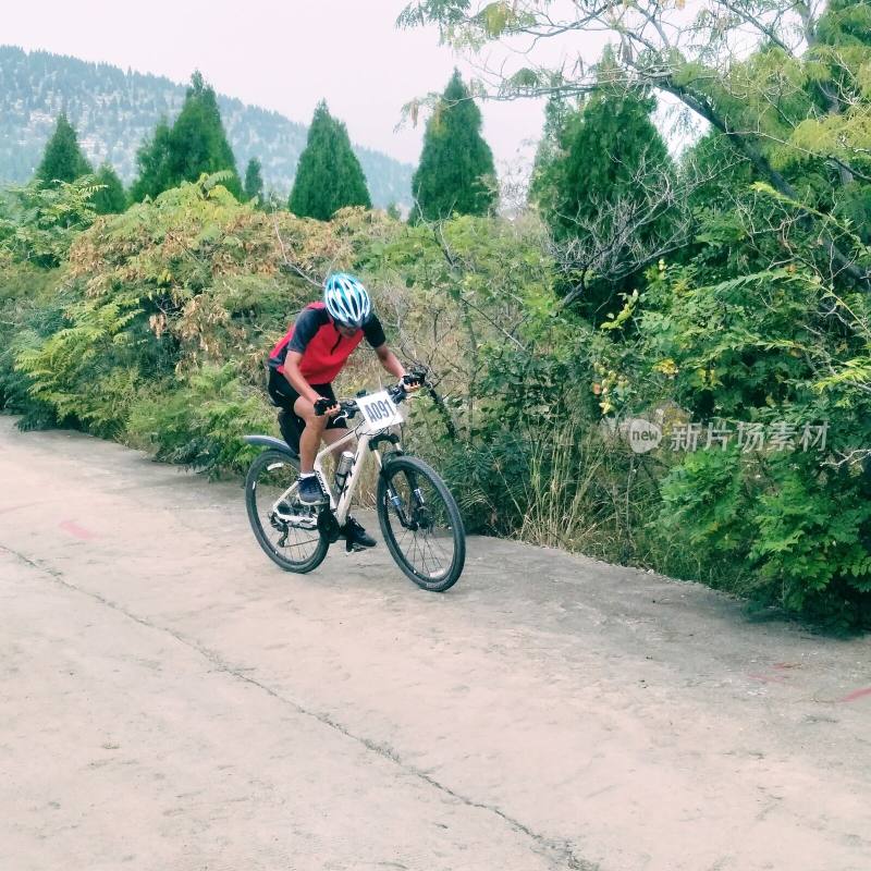 骑行者在山地林间小道骑行的场景