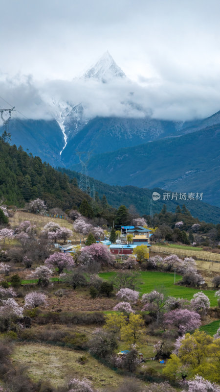 西藏林芝地区藏王故里桃花沟高空航拍