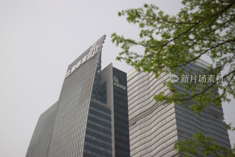 高楼大厦与绿植景观