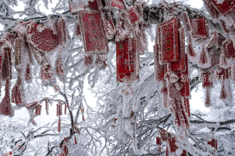 寒冷冬天冰雪凝固的祈福牌