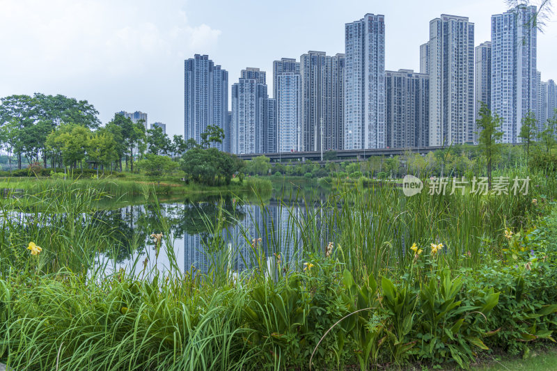 武汉青山区戴家湖公园风景