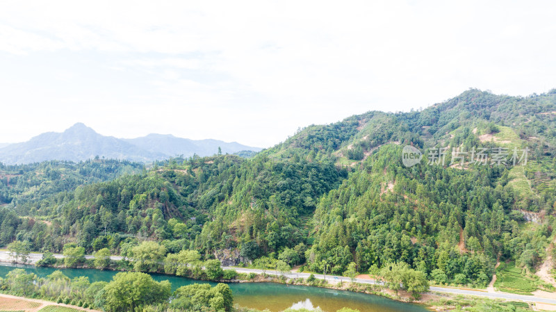 航拍武夷山绿色农田与茶园