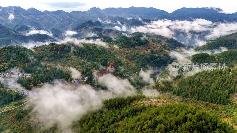 重庆酉阳：白果树边的美景