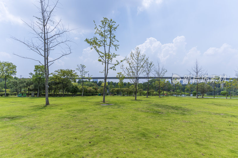 武汉青山区戴家湖公园风景