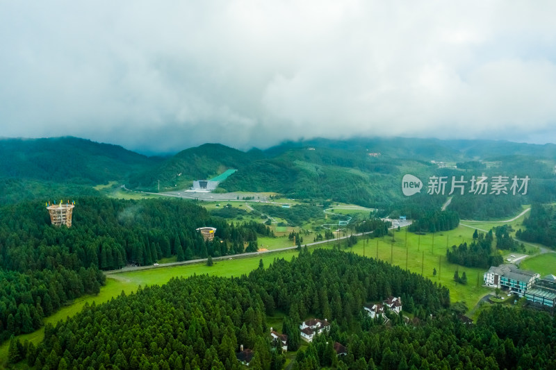 重庆武隆仙女山森林公园