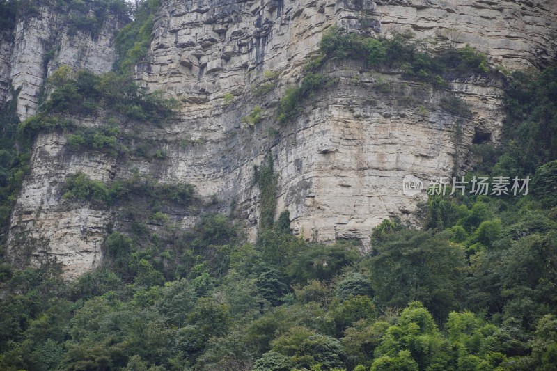 山壁绿植自然景观