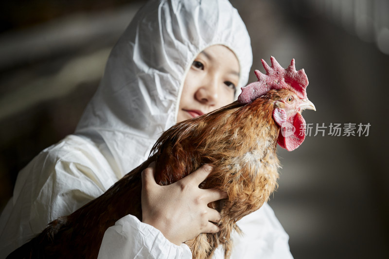 身穿防护服怀抱家禽的年轻女性饲养员
