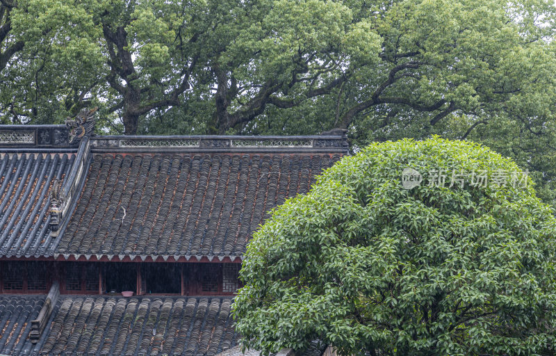 浙江普陀山双泉禅院风光