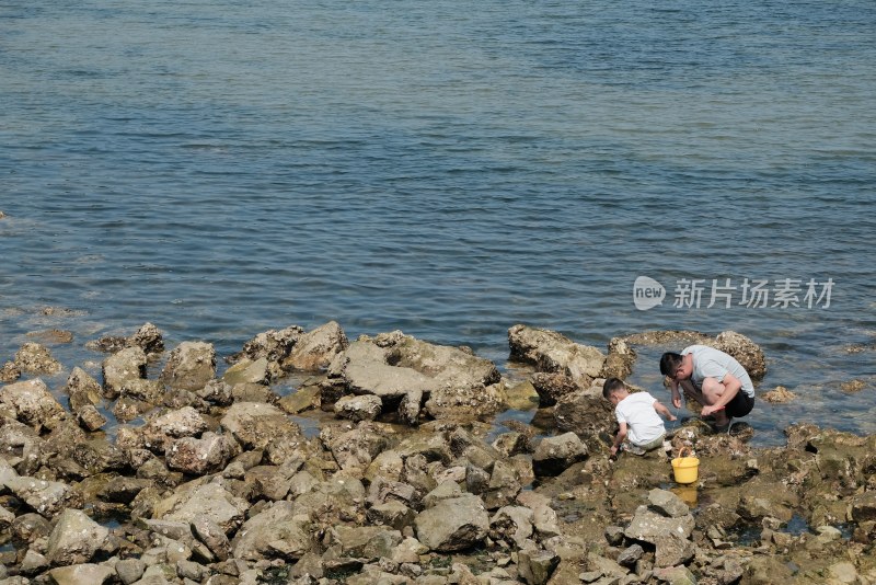 父子海边礁石处赶海场景