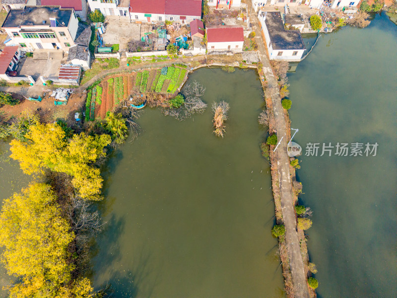 乡村水域及周边建筑鸟瞰