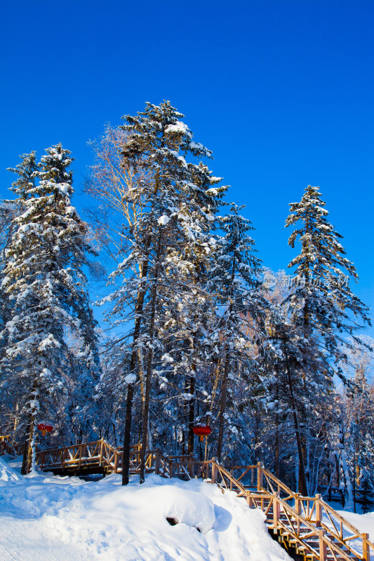 黑龙江 双峰林场 雪乡