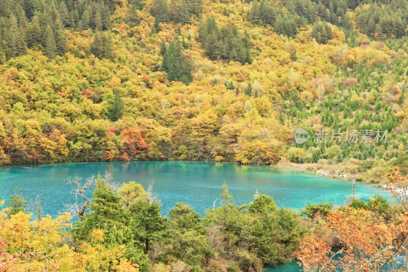 秋天九寨沟的山水