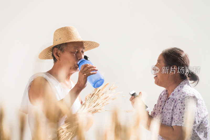 老年夫妇在麦田