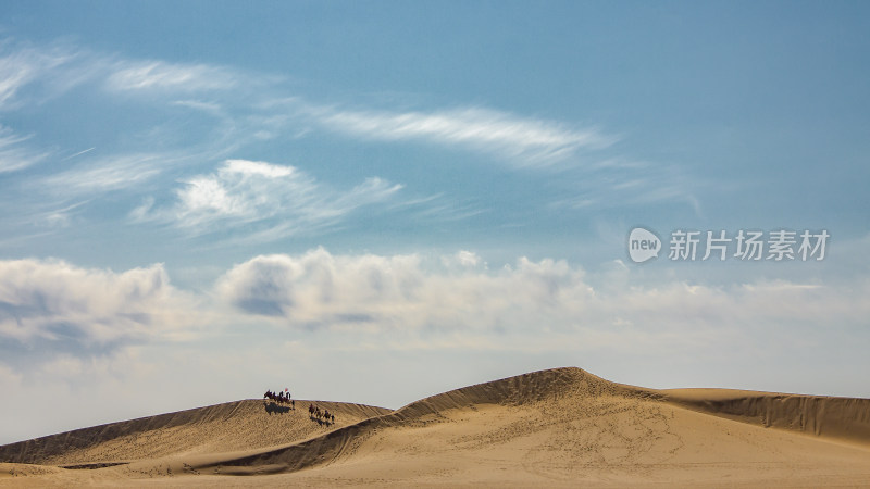 内蒙古蓝天沙漠骆驼远景