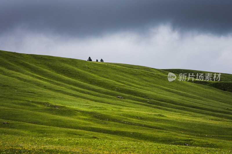 川西格聂广袤山脉草原自然风光