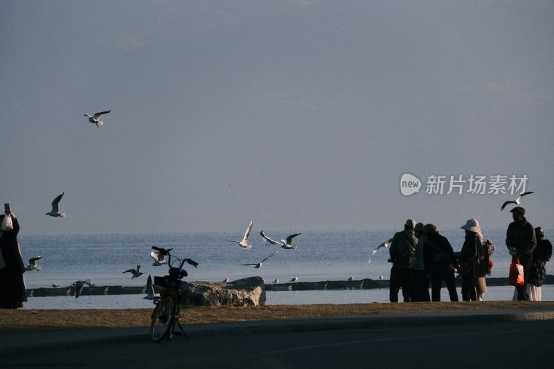 海边人群与飞翔海鸥场景