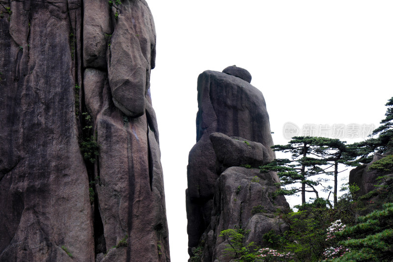 春天黄山自然风光