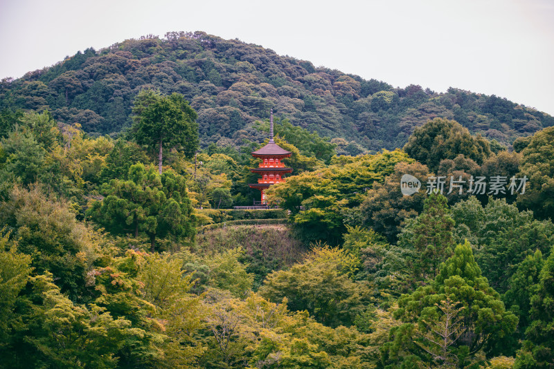 日本京都著名旅游景点音羽山清水寺风光