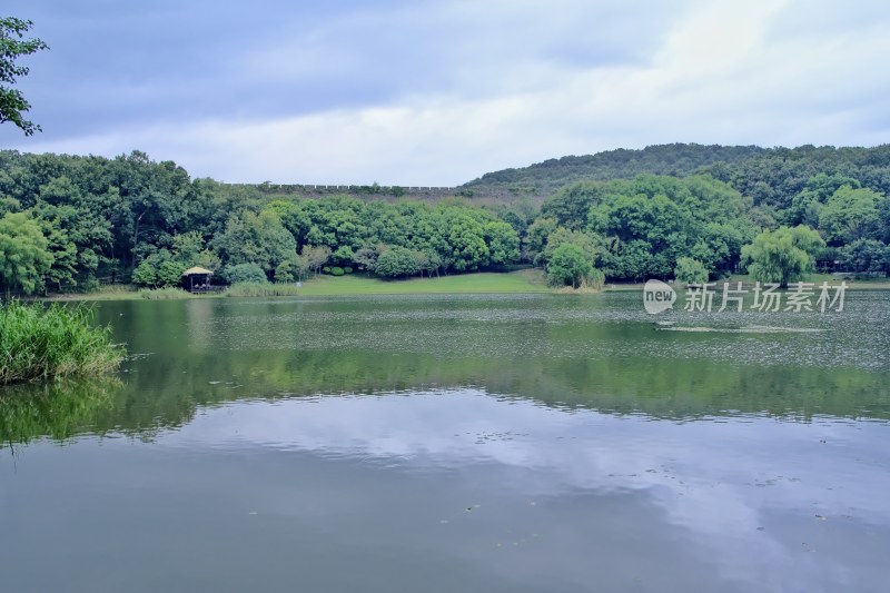 南京钟山景区 前湖 琵琶湖