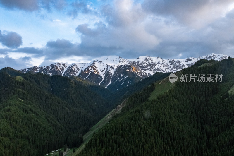 新疆伊犁蓝天白云下的雪山草原