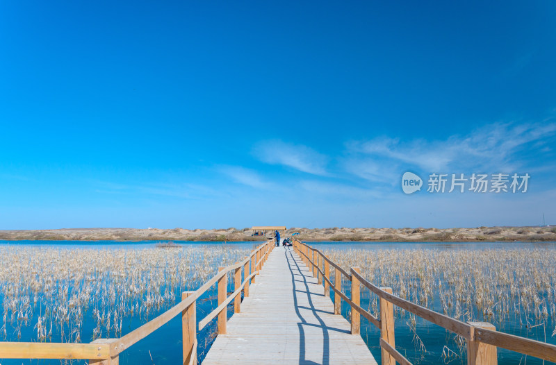 内蒙古额济纳旗居延海景区湖泊芦苇木栈道